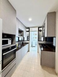 Tanglin Park (D10), Condominium #636971851